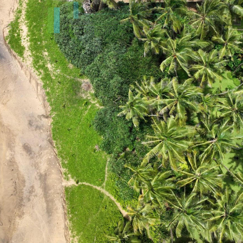 Luxury beachfront villa near Bentota