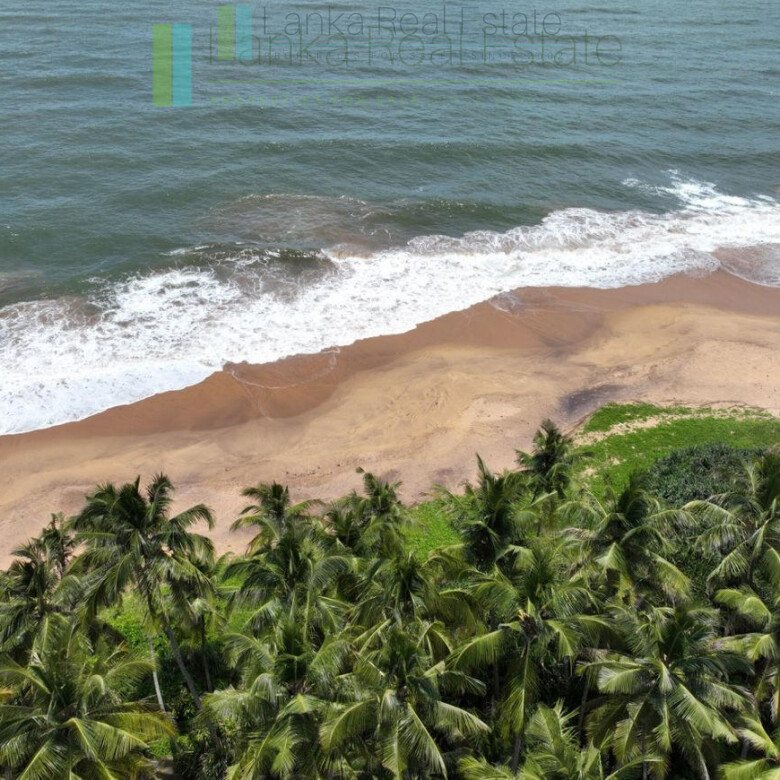 Luxury beachfront villa near Bentota