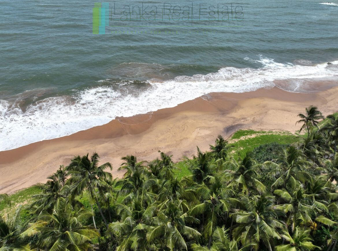 Luxury beachfront villa near Bentota