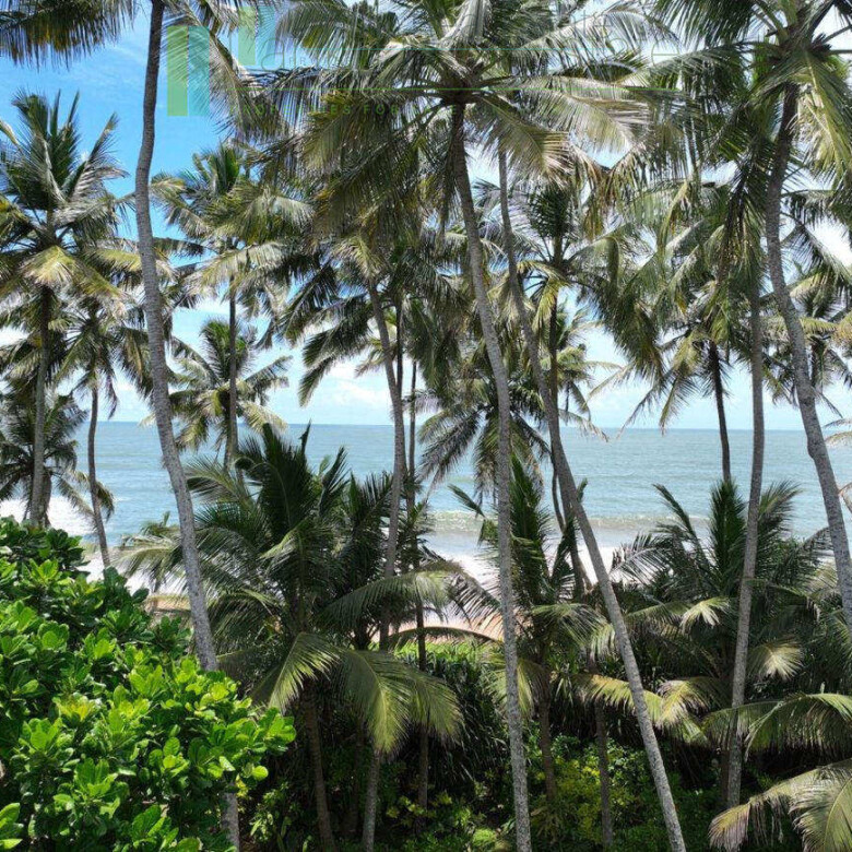 Luxury beachfront villa near Bentota