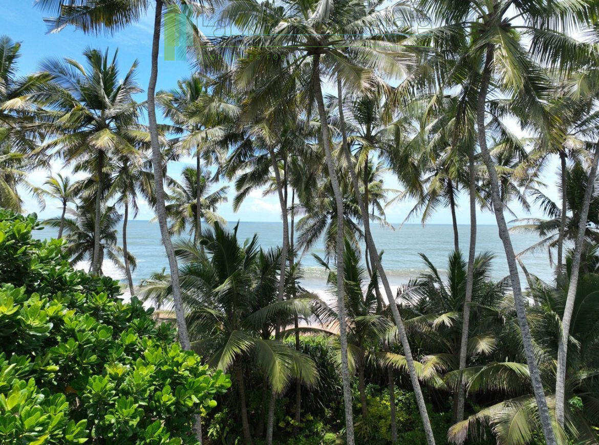 Luxury beachfront villa near Bentota