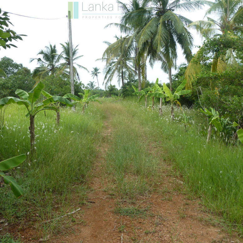 Waterside paradise near the beach