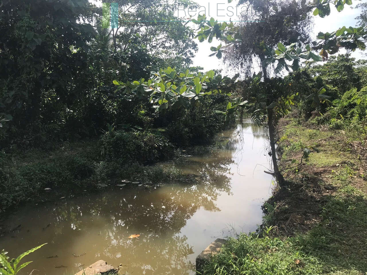 Tranquil paddy island in Koggala