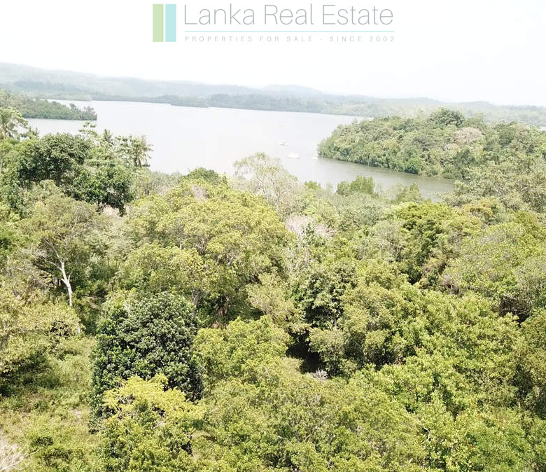 Serene wooded six acres on Koggala Lake