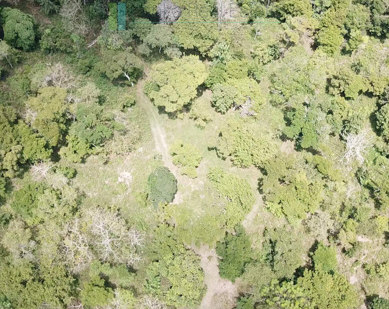 Serene wooded six acres on Koggala Lake