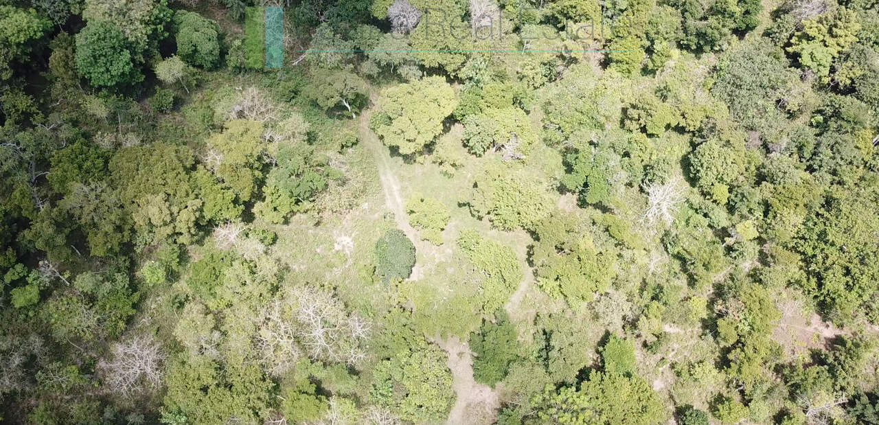 Serene wooded six acres on Koggala Lake