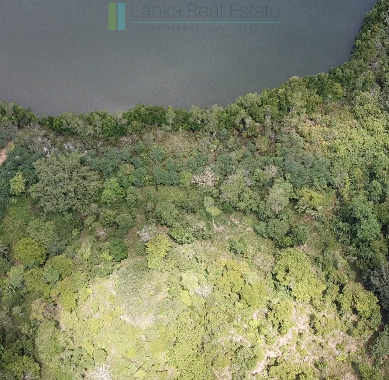 Serene wooded six acres on Koggala Lake