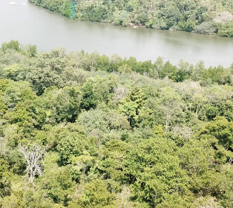Serene wooded six acres on Koggala Lake