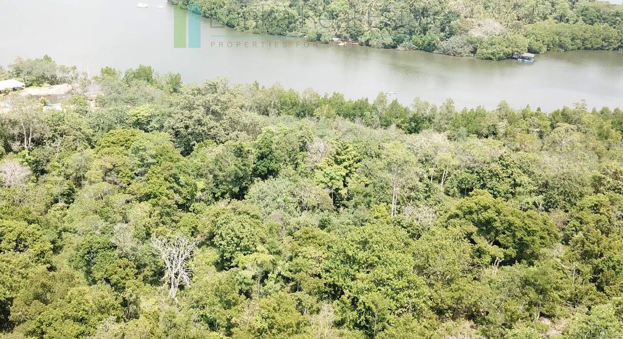 Serene wooded six acres on Koggala Lake