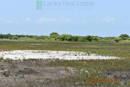 Six acres on Kalpitiya Lagoon
