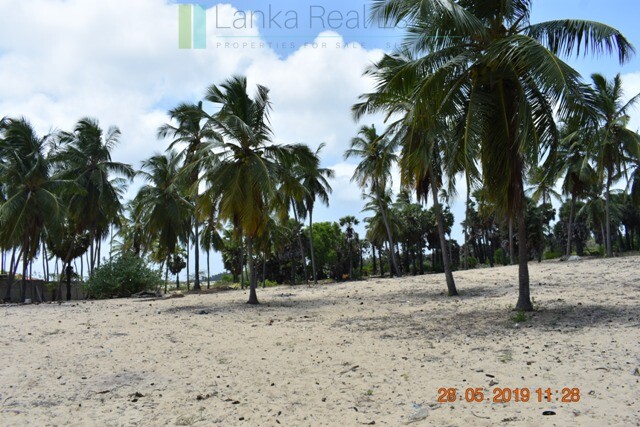 Six acres at a kite surfing location near Kalpitiya