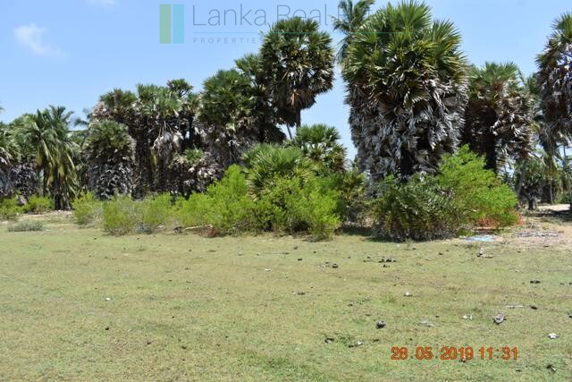 Six acres at a kite surfing location near Kalpitiya