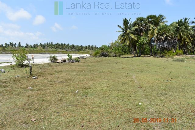 Six acres at a kite surfing location near Kalpitiya