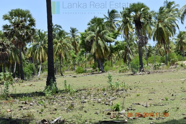 Six acres at a kite surfing location near Kalpitiya