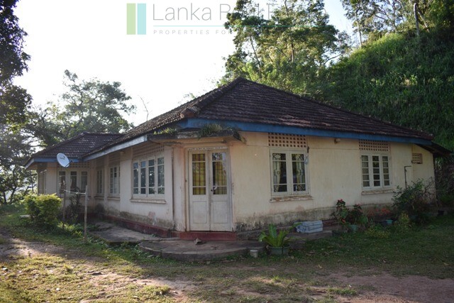 Six acres overlooking Kandy Lake