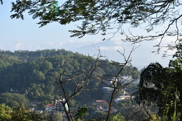Six acres overlooking Kandy Lake
