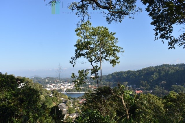 Six acres overlooking Kandy Lake