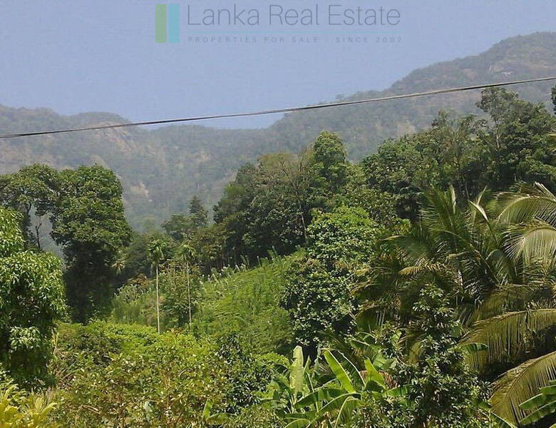 Twenty-one acre mixed estate at Kitulgala