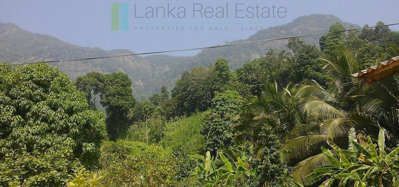 Twenty-one acre mixed estate at Kitulgala