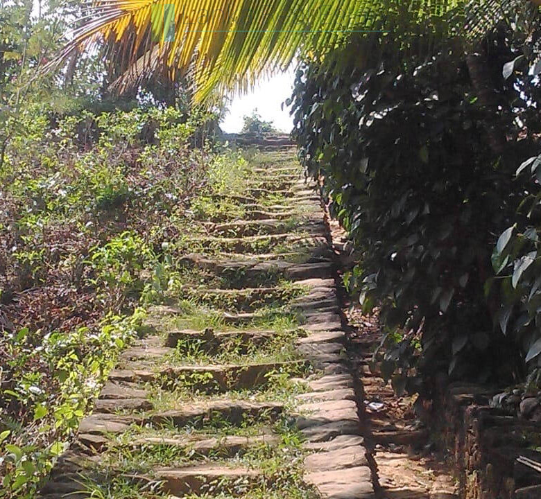 Twenty-one acre mixed estate at Kitulgala