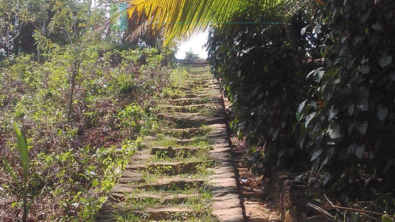 Twenty-one acre mixed estate at Kitulgala