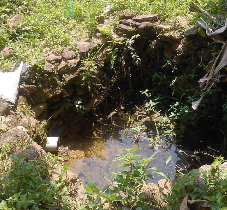 Twenty-one acre mixed estate at Kitulgala