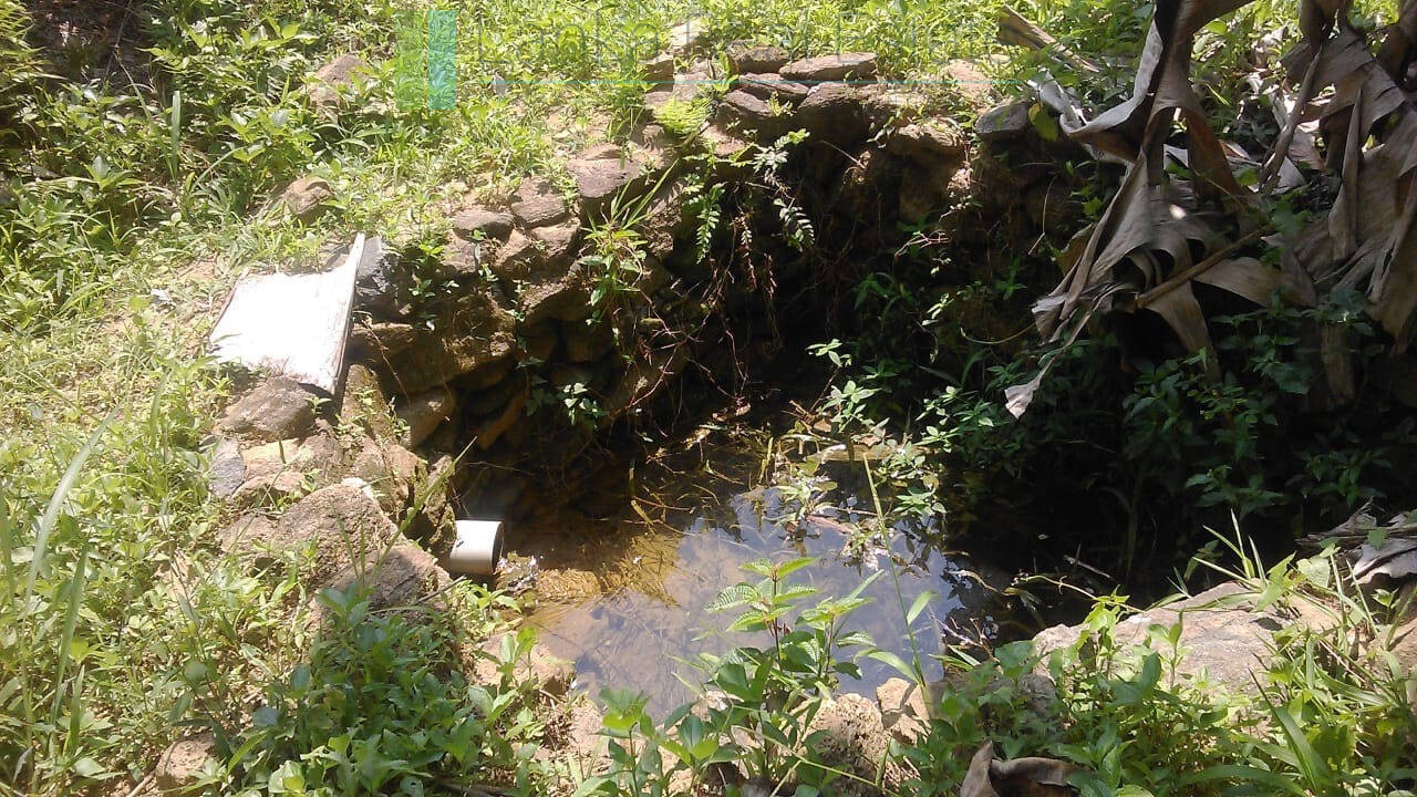 Twenty-one acre mixed estate at Kitulgala