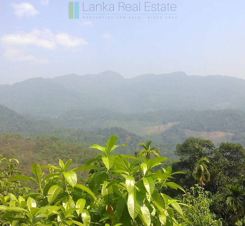 Twenty-one acre mixed estate at Kitulgala