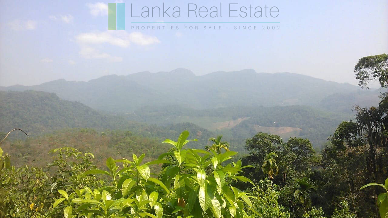 Twenty-one acre mixed estate at Kitulgala