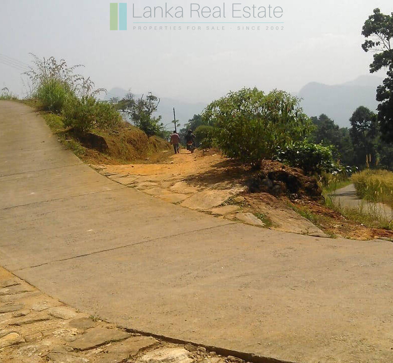 Twenty-one acre mixed estate at Kitulgala