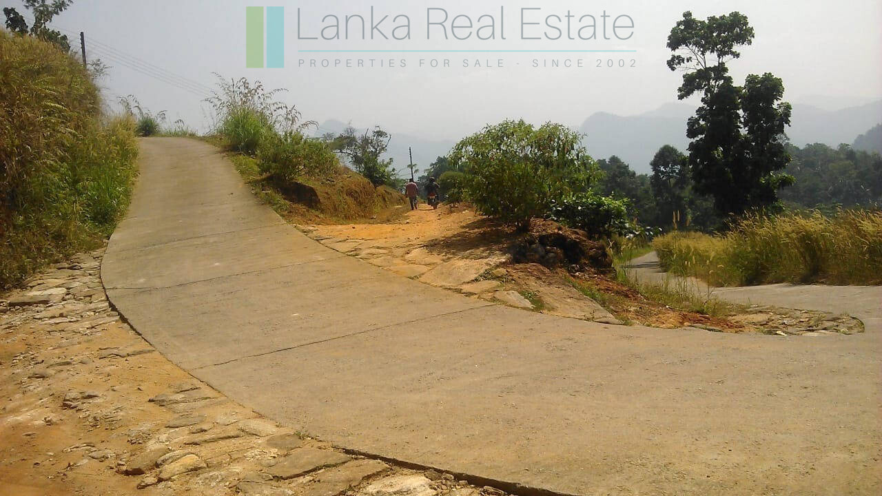Twenty-one acre mixed estate at Kitulgala