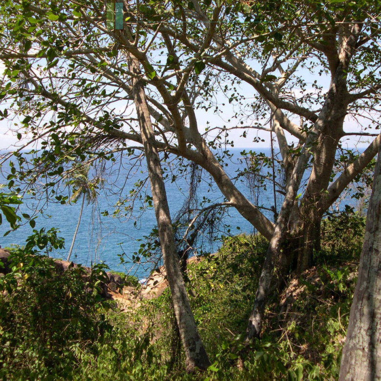 One acre clifftop development plot near Matara