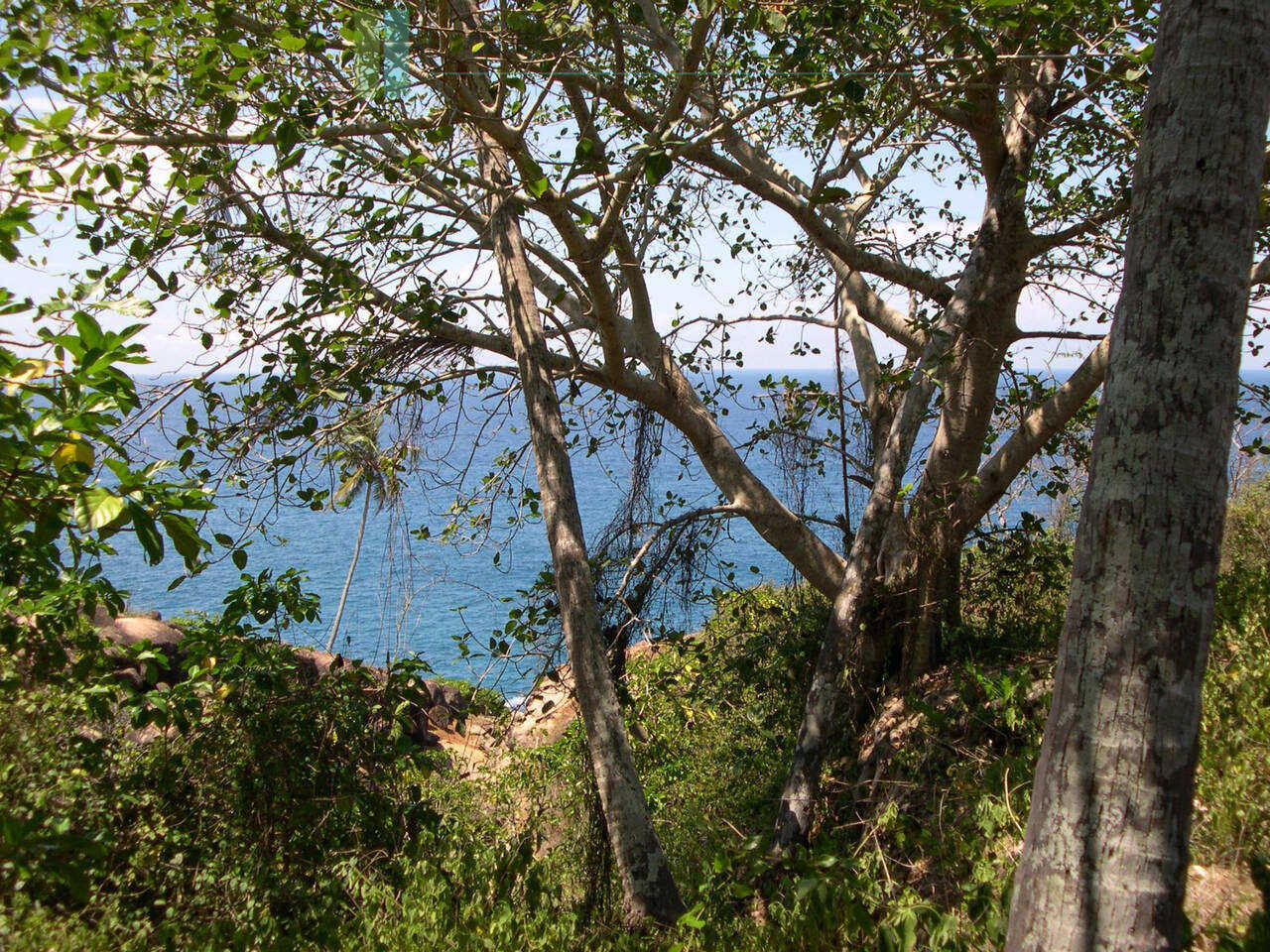 One acre clifftop development plot near Matara