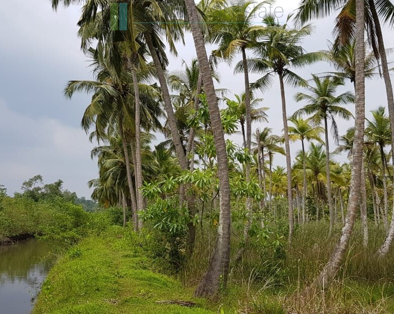 Tranquil eleven acres near Talpe