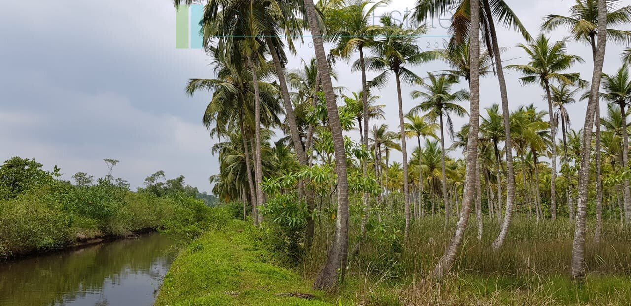 Tranquil eleven acres near Talpe