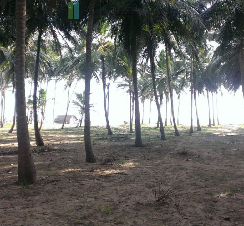 Beachfront plot near Kalpitiya