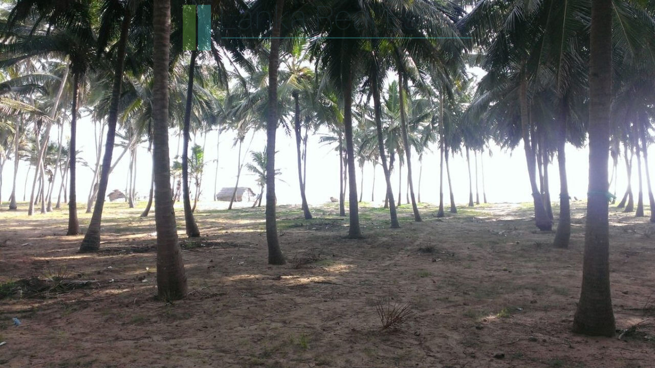 Beachfront plot near Kalpitiya