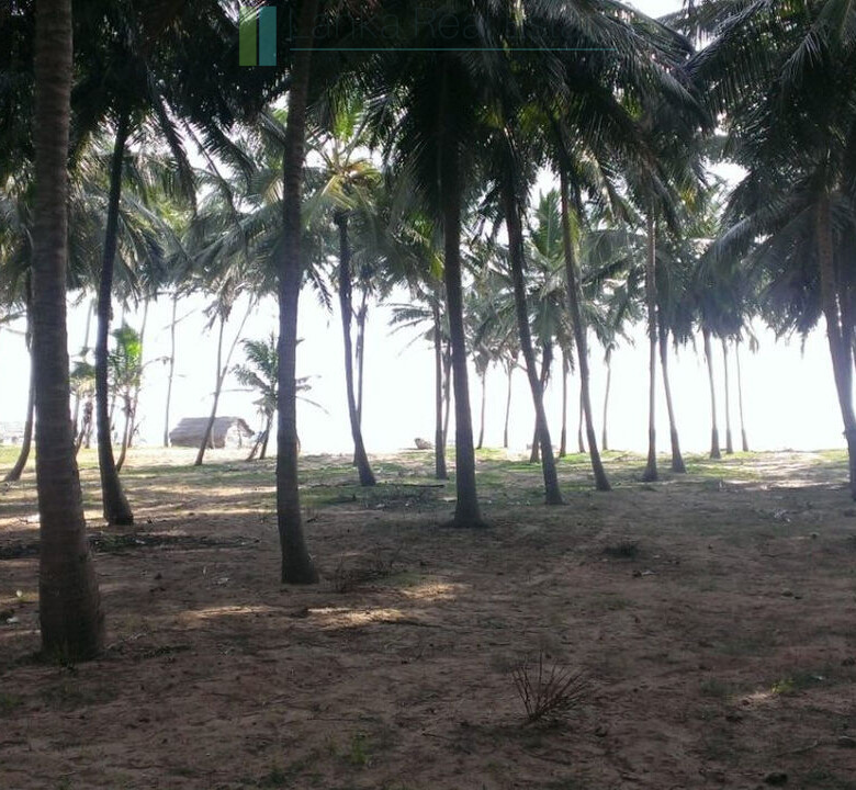 Beachfront plot near Kalpitiya