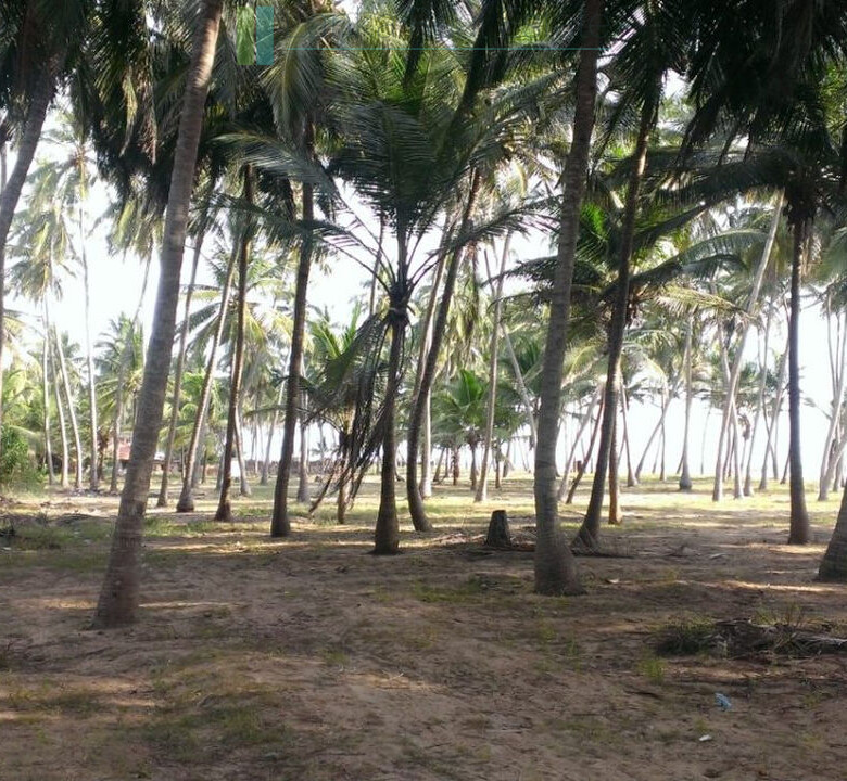 Beachfront plot near Kalpitiya