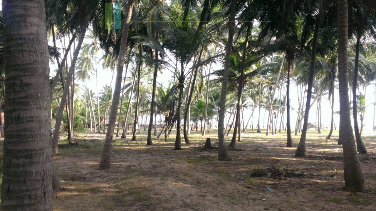 Beachfront plot near Kalpitiya