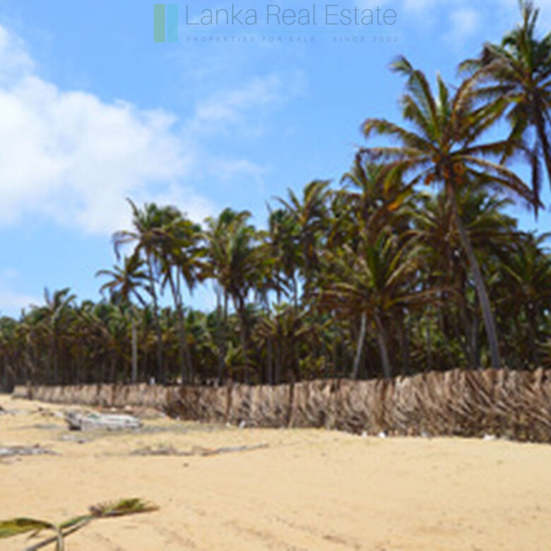 Beachfront plot near Kalpitiya