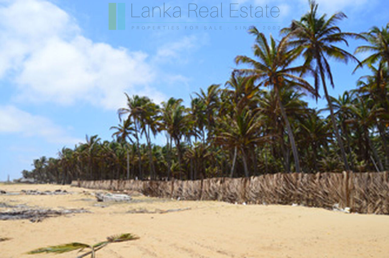 Beachfront plot near Kalpitiya