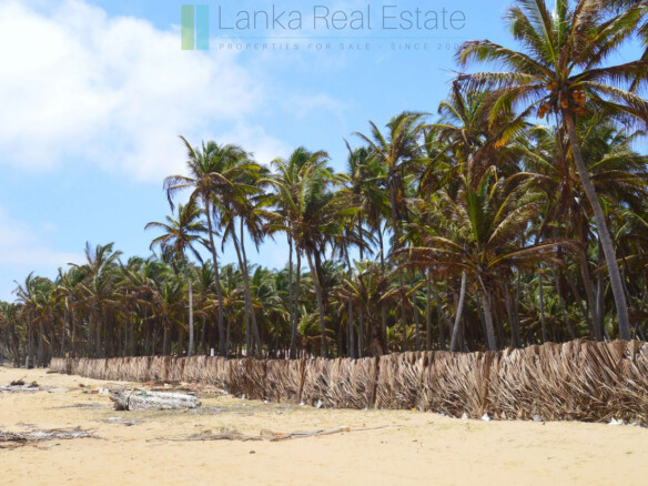 Beachfront plot near Kalpitiya