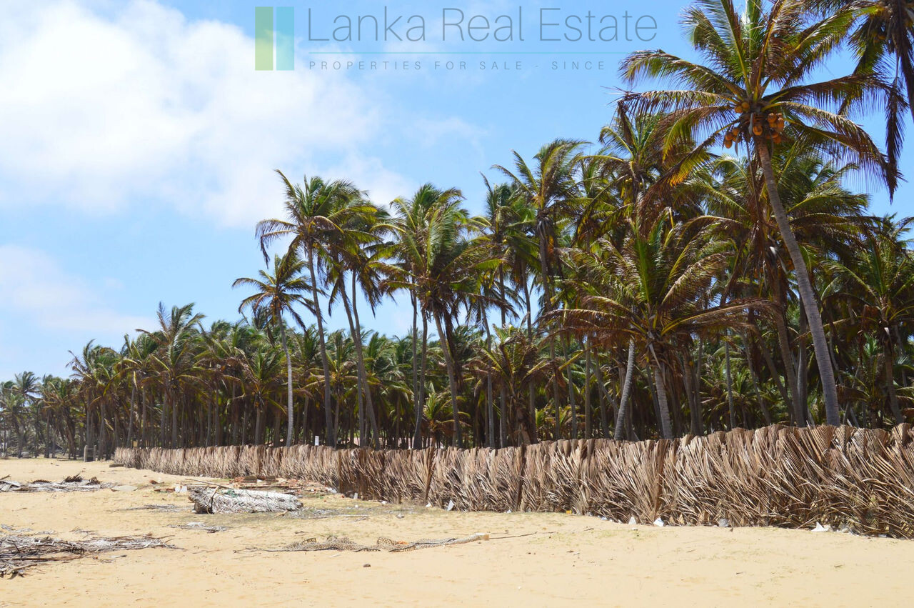 Beachfront plot near Kalpitiya