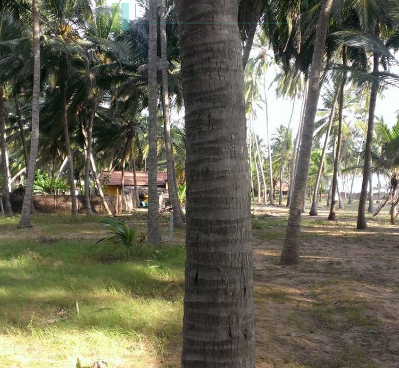 Beachfront plot near Kalpitiya