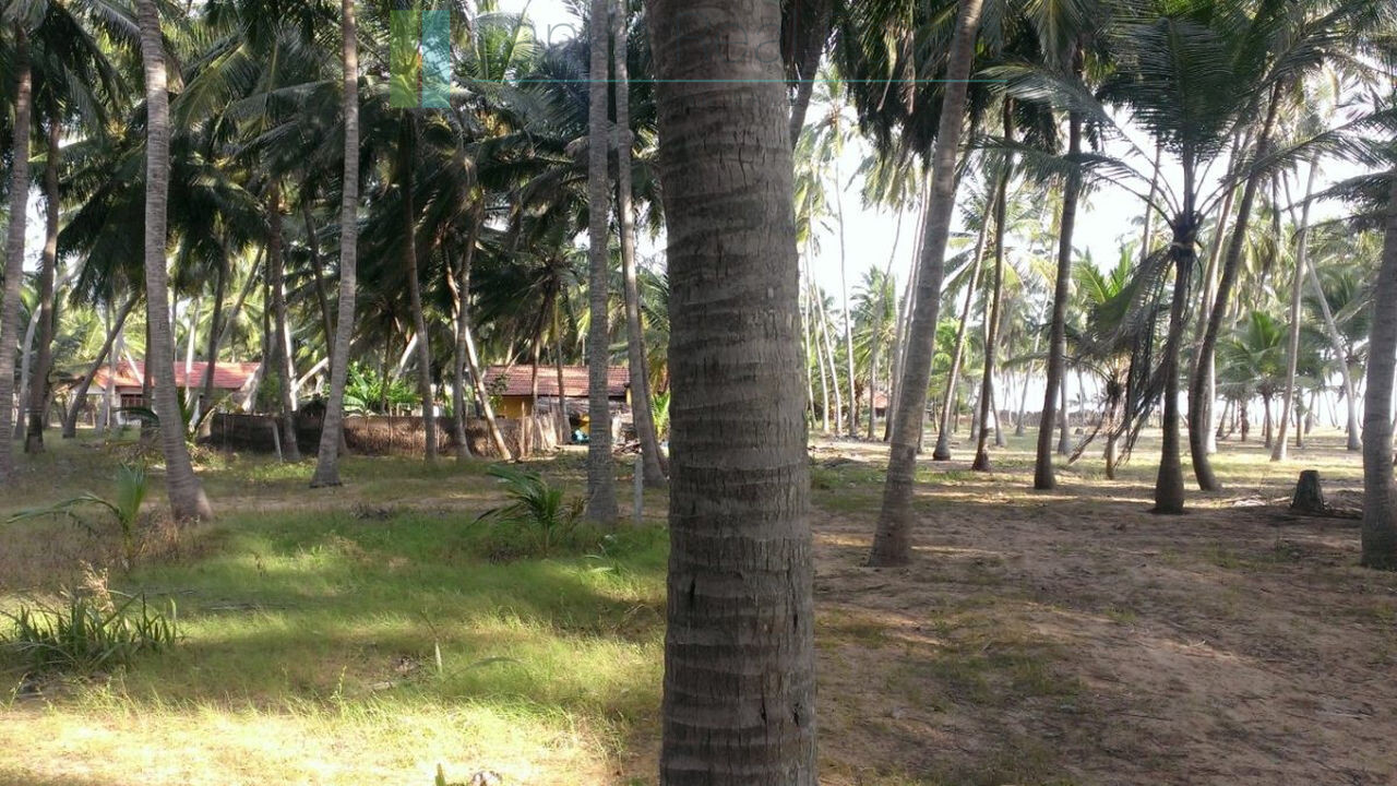 Beachfront plot near Kalpitiya