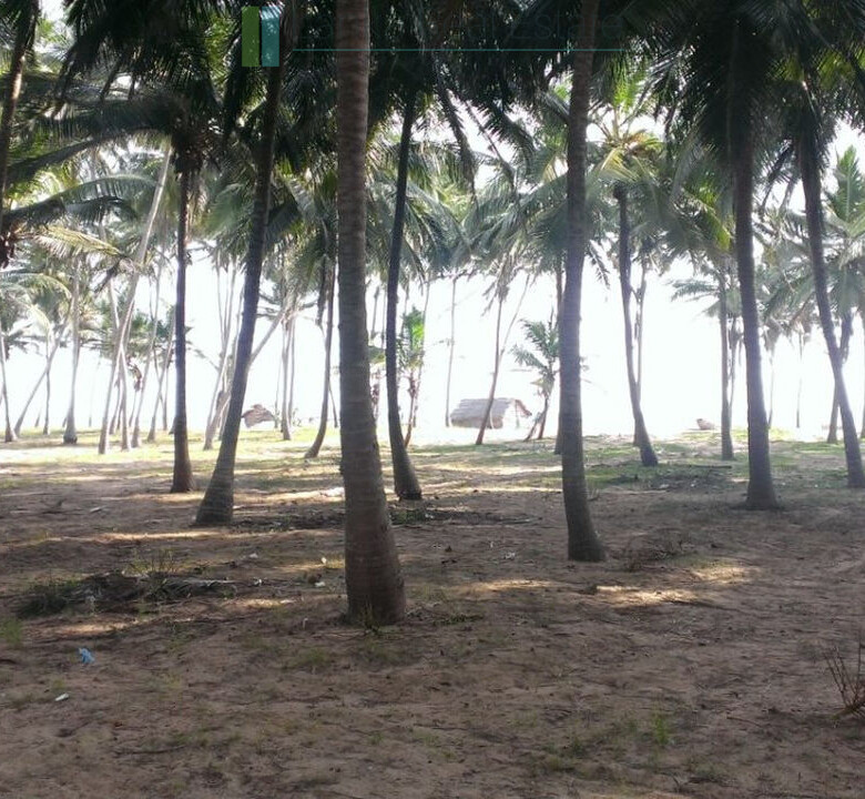 Beachfront plot near Kalpitiya