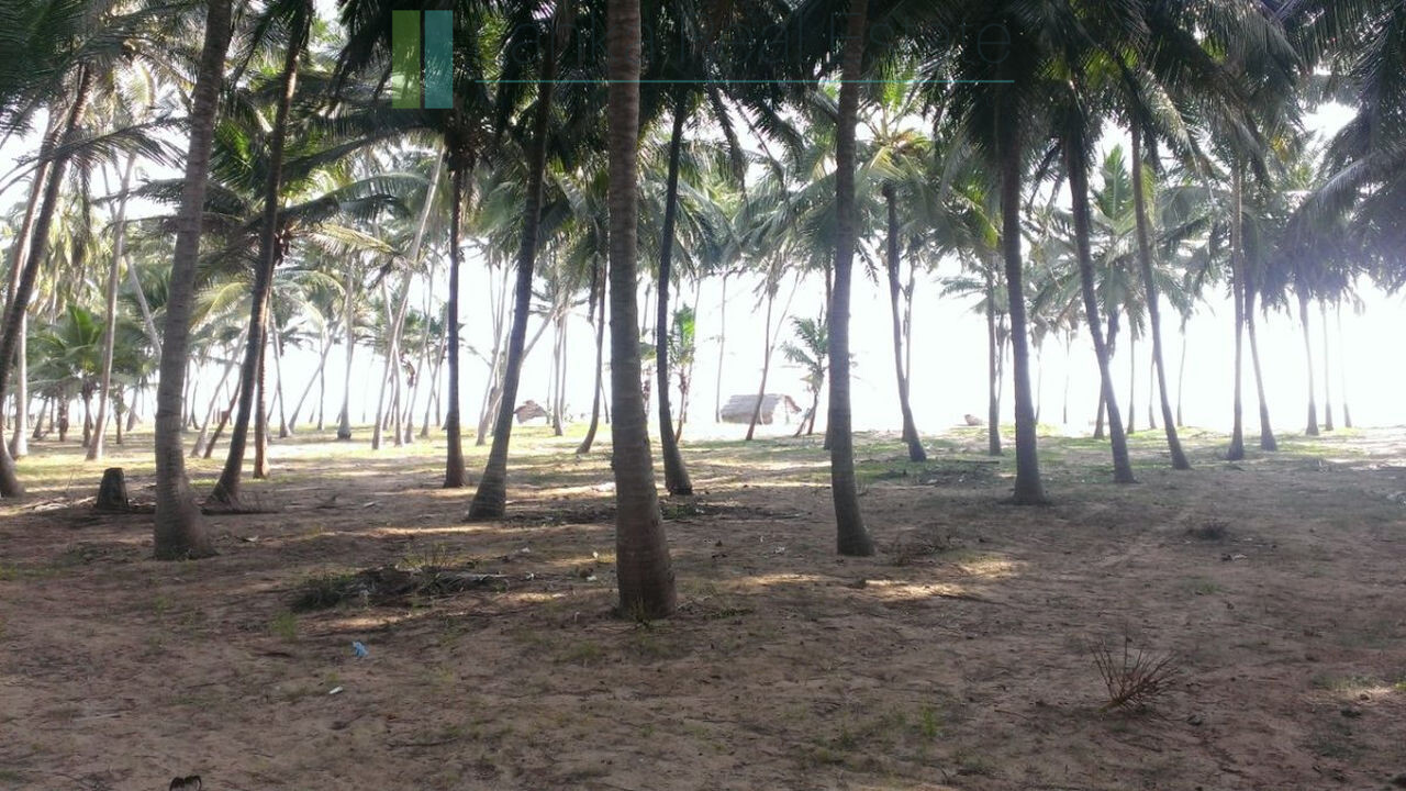 Beachfront plot near Kalpitiya