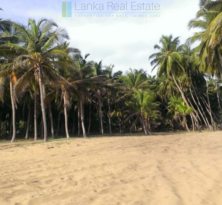 Beachfront plot near Kalpitiya