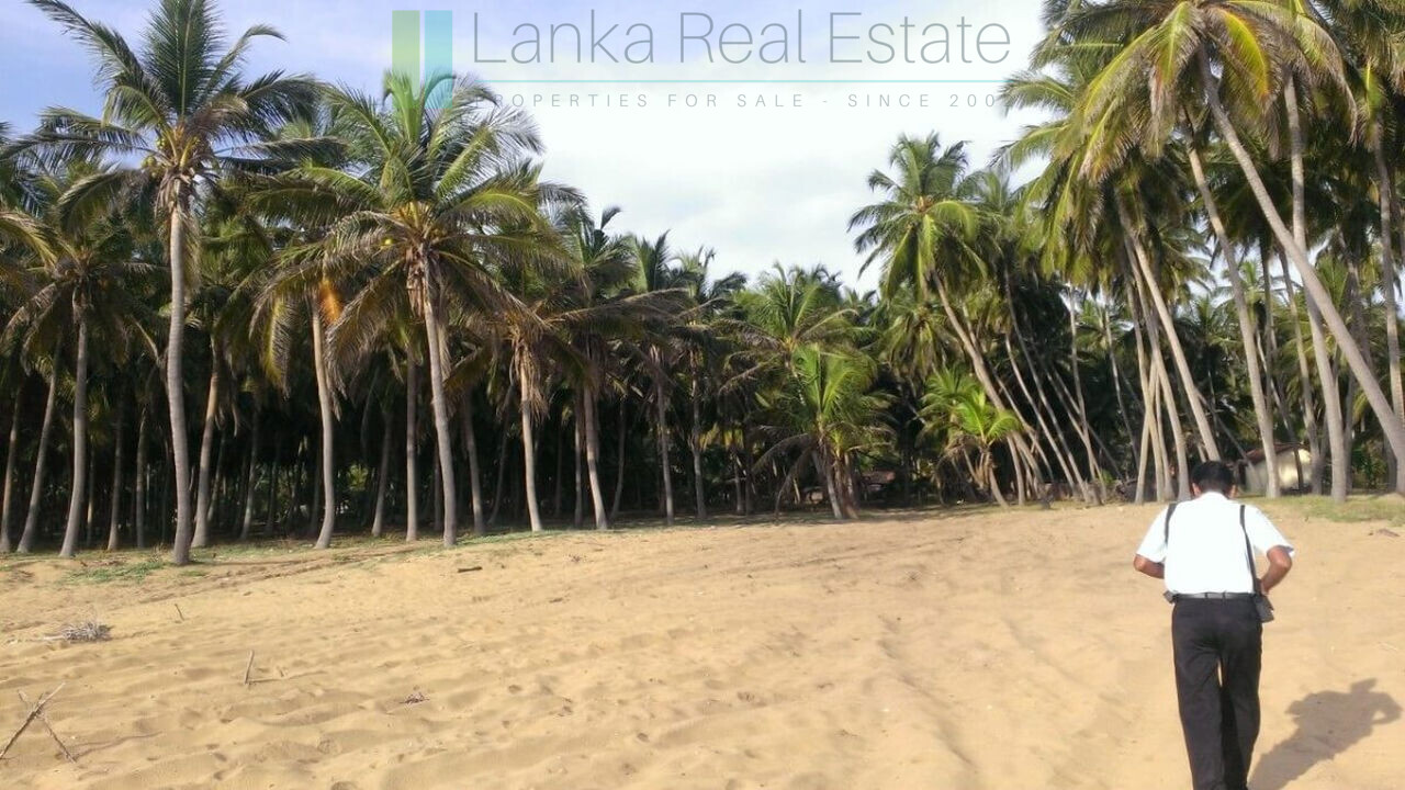 Beachfront plot near Kalpitiya